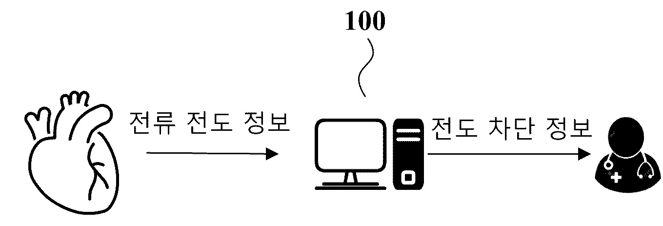 생체 전류 분석 방법 및 장치 대표 이미지