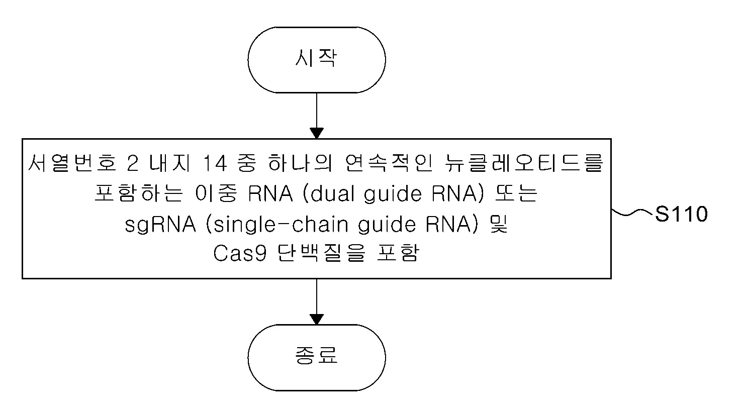 KCNQ4 유전자 교정용 가이드 RNA 및 이를 포함하는 난청 치료용 조성물 대표 이미지