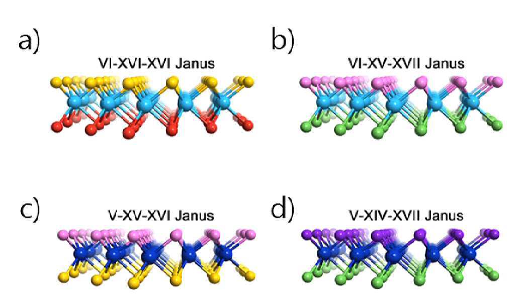 전이금속 디칼코게나이드-유래 야누스 단분자층 및 이의 제조방법 대표 이미지