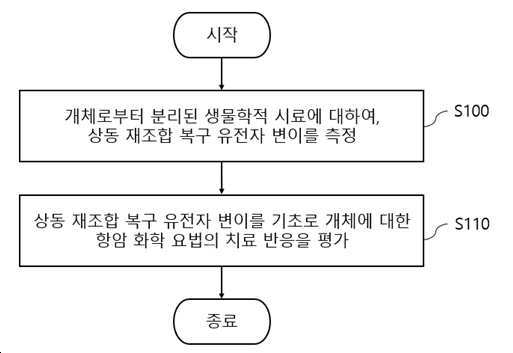 항암 화학 요법의 치료 반응 예측 방법 및 이를 이용한 키트 대표 이미지