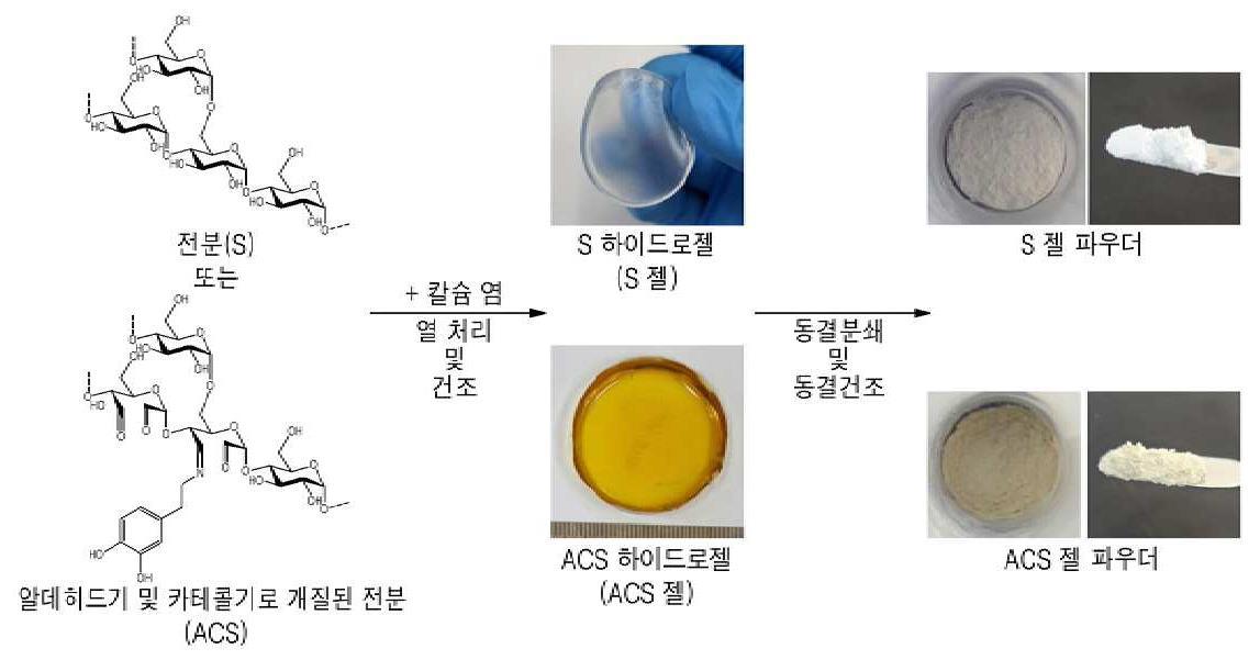 알데히드와 카테콜기가 도입된 전분 하이드로젤 및 이의 용도 대표 이미지