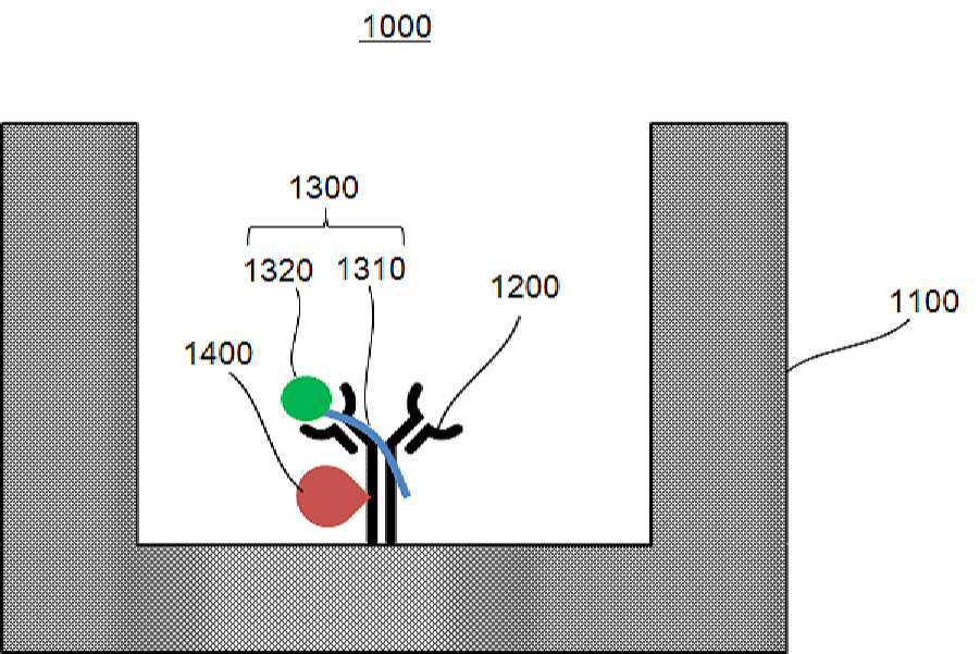 RNase A 검출 면역분석 장치 및 방법 그리고 RNase A 포집 방법 대표 이미지