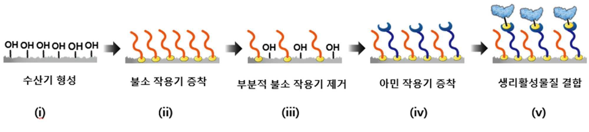 표면이 코팅된 인공삽입물 대표 이미지