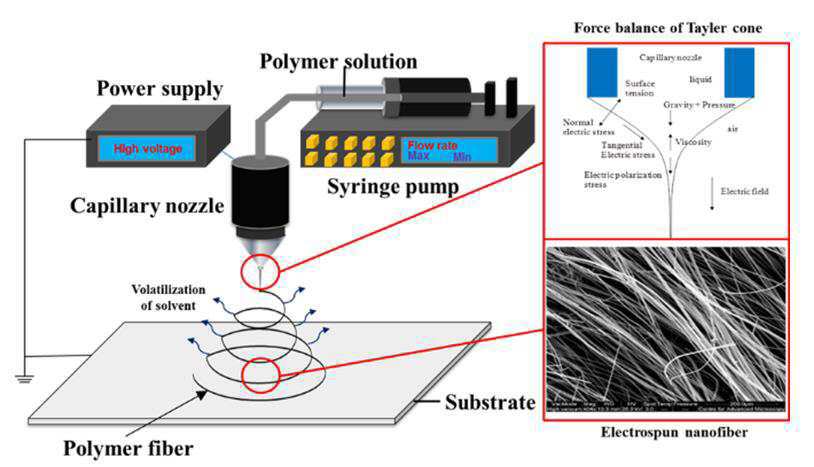 귀금속이 표면 도핑된 이산화타이타늄 나노섬유의 제조 방법 대표 이미지